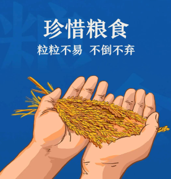 1761901043854372.png 9C7FA6C5-B397-444d-AB59-88BB18B25F84.png